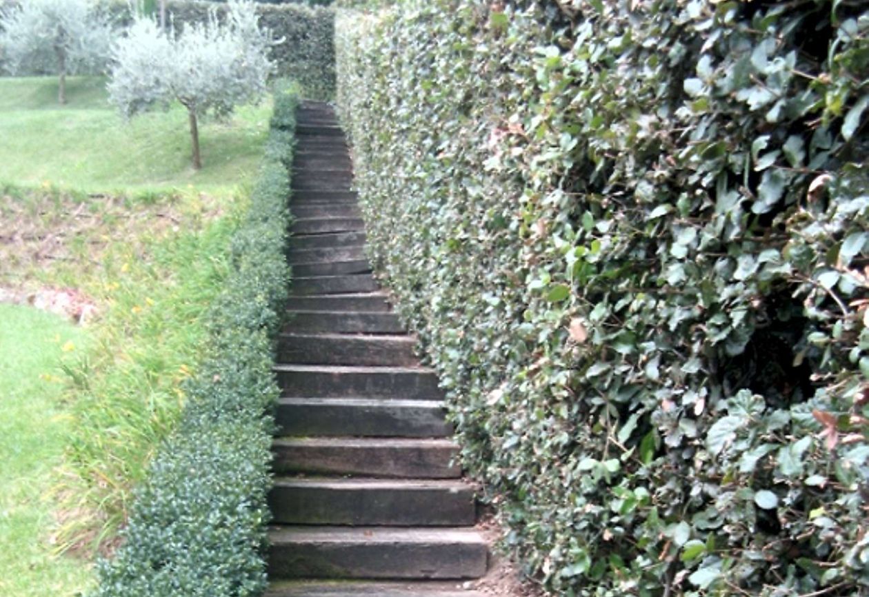 Gorza Legnami srl - Traversine ferroviarie trattate - Gradini